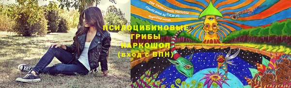 дмт Белокуриха