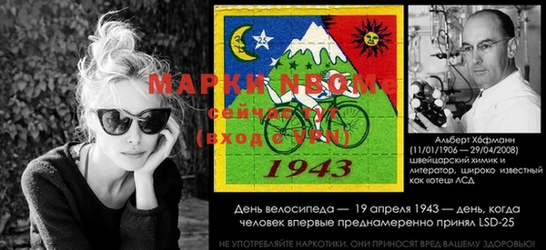 мяу мяу мука Беломорск