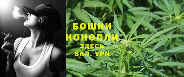 мяу мяу мука Беломорск
