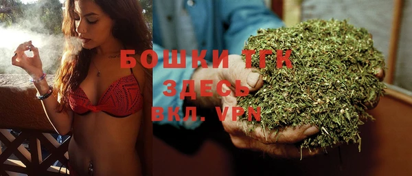 дмт Белокуриха
